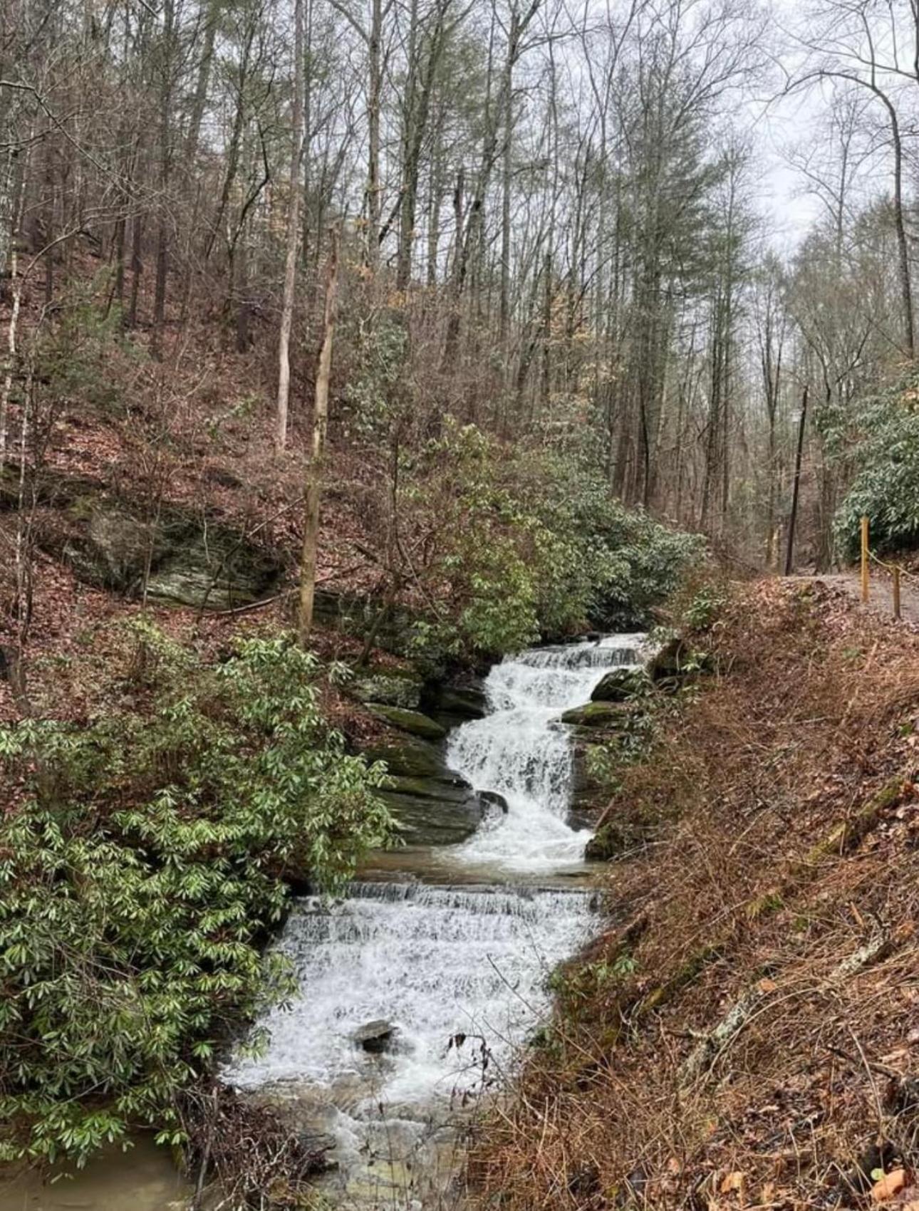 Yoli Bear Hideaway Villa Sevierville Exterior photo